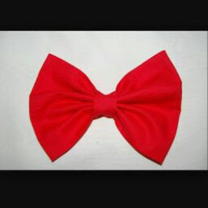 Meet your Posher, Carmen